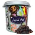 10 kg Lyra Pet Rosinen in 30 l Tonne