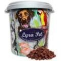 5 kg Lyra Pet® Rindfleischwürfel in 30 L Tonne