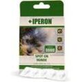 10 x 5 x 1 ml IPERON® SPOT-ON kleine Hunde