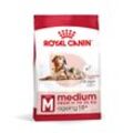 ROYAL CANIN MEDIUM Ageing 10+ Trockenfutter für ältere mittelgroße Hunde 15kg