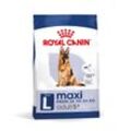 ROYAL CANIN MAXI Adult 5+ Trockenfutter für ältere große Hunde 4kg