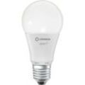 Ledvance - Smarte LED-Lampe mit WiFi Technologie, Sockel E27, Dimmbar, Lichtfarbe änderbar (2700-6500K), ersetzt Glühlampen mit 100 w, smart+ WiFi