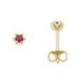 Paar Ohrstecker FIRETTI "Schmuck Geschenk Gold 333 Ohrschmuck Farbstein Edelstein Rubin" Ohrringe Gr. Gelbgold 333, goldfarben (gelbgoldfarben, rot, rot) Damen Ohrstecker mit Rubin