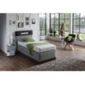 Boxspringbett, grau (anthrazit, grau), Kaltschaum-Topper, Liegefläche B/L: 90cm x 200cm, H3, 5-Zonen-Tonnentaschen-Federkernmatratze, Bezug Obermatratze 100% Polyester, waschbar bis 60u00b0C, Bezug Unterbox und Kopfteil: Mikrofaservelours (100% Polyester), WESTFALIA SCHLAFKOMFORT, Komplettbetten, Boxspringbett, mit LED-Beleuchtung