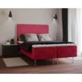 Boxspringbett INOSIGN "Hacer", rot, B:121cm L:208cm, 100% Polyester, Komplettbetten, Boxspringbett, Topper, H2 oder H3 und in Breiten 70,80,90,120,140,160,180 wählbar