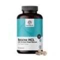 HealthyWorld Betain HCL 1120 mg, 240 Kapseln