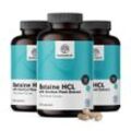 HealthyWorld 3x Betain HCL 1120 mg, zusammen 720 Kapseln