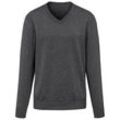 V-Pullover aus 100% Premium-Kaschmir Peter Hahn Cashmere grau, 56