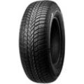 BRIDGESTONE Winterreifen "LM-005" Autoreifen in verschiedenen Ausführungen erhältlich Gr. 255mm / 40 % R 18 99V, schwarz