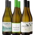 6er-Probierpaket »Sauvignon Blanc«