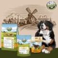 Bellfor Berner Sennenhund Futter Set