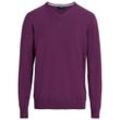 Herren Strickpullover mit V-Ausschnitt