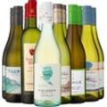 6er-Probierpaket »Sauvignon Blanc Frische«