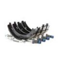 TRW Handbremsbeläge MERCEDES-BENZ GS8595 A1404200420,A1404200820,A1404200920 Handbremsbacken,Bremsbackensatz, Feststellbremse A2104200320,1404200420