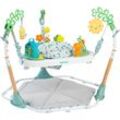 Spielcenter INGENUITY "Tummy to Toes™ 6-in-1 Milestones Center", bunt, Motorikspielzeug, Kinder, mit Licht und Sound