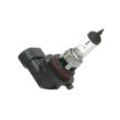 HELLA Glühlampe, Fernscheinwerfer VW,MERCEDES-BENZ,OPEL 8GH 005 636-121 1382496,63121382496,10611625