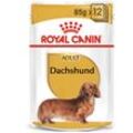 ROYAL CANIN Dachshund Adult Hundefutter nass für Dackel 12x85g