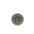 BOSCH Druckspeicher, Kraftstoffdruck MERCEDES-BENZ 0 438 170 035 A0004760521,A0004760621,0004760521 0004760621