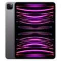 iPad Pro 11 (2022) 4. Generation 128 GB - WLAN - Space Grau