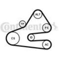 CONTINENTAL CTAM Keilrippenriemensatz für VW AUDI 6PK1613K1