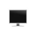 EIZO FlexScan S2134-GY LCD-Monitor 54 cm 21,3 Zoll