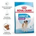 ROYAL CANIN Giant Junior 15 kg