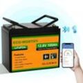 LiFePO4 Akku 100Ah Bluetooth, Lithium Batterie 12V 100ah mit bms Low Temperature Schutz und Max. 15000 Zyklens,1280Wh Autobatterie für