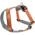 Hunter Geschirr Neopren schwarz/ orange L