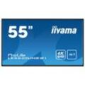 Bildschirm 55" LED 4K UHD Iiyama ProLite LE5540UHS-B1