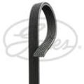 GATES Keilrippenriemen Micro-V® schwarz für SKODA VW SEAT AUDI FORD 06A260849E 06A260849 1111928 6DPK1195