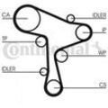 CONTINENTAL CTAM Wasserpumpe + Zahnriemensatz für VW AUDI SEAT SKODA CT1168WP4