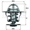 MAHLE Thermostat, Kühlmittel mit Dichtung 54mm für SKODA VW SEAT CUPRA AUDI FORD 1031881 95VW8575AB 056121113 TX 15 87D