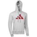 Hoodie ADIDAS PERFORMANCE "Perfo Script Graphic Hoody" Sweatshirts Gr. L, grau Herren