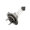 HELLA Glühlampe, Fernscheinwerfer VW,MERCEDES-BENZ,AUDI 8GH 007 157-121 842003031,72450647,X825107045000 1637337,5350660950,5016007157,XCP00001181