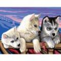 Malen nach Zahlen mit Acrylfarben "Huskies", 38 x 29 cm