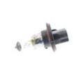VEMO Glühlampe, Fernscheinwerfer JEEP V99-84-0073