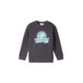 TOM TAILOR Jungen Sweatshirt mit Bio-Baumwolle, grau, Print, Gr. 92/98