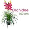 Decovego - Künstliche Blumen Orchidee Orchideen Pflanzen Kunstpflanze Kunstblumen Künstlich Pflanze Rosa Pink mit Topf Deko 100 cm