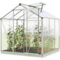 GFP - Gewächshaus Jasmin 3 Alu-Rahmen 192 x 192 cm Polycarbonat Platten - mit Fundamentrahmen & automatischem Fensteröffner - aluminium