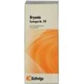 Synergon Komplex 54 Bryonia N Tropfen 50 ml