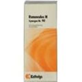 Synergon Komplex 90 Ranunculus N Tropfen 50 ml