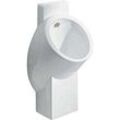 Geberit Centaurus Urinal 236450600 KeraTect/weiß, Hybridbetrieb, Zulauf hinten, Abgang hinten/unten