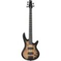 Ibanez Gio GSR205SM-NGT Natural Gray Burst