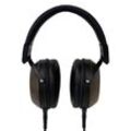 Fostex TH-616