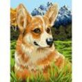 Malen nach Zahlen "Corgi", 30 x 40 cm