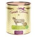 Terra Canis CLASSIC Kalb mit Hirse 6x800g