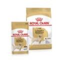 ROYAL CANIN Labrador Retriever Adult 3kg + Labrador Adult in Soße 10x140g