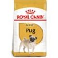 ROYAL CANIN Pug Adult Hundefutter trocken für Mops 3kg