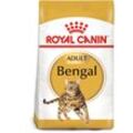 ROYAL CANIN Bengal Adult Katzenfutter trocken 10kg