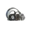 MAGNETI MARELLI Wasserpumpe + Zahnriemensatz VW,AUDI,SKODA 132011160037 Wasserpumpe + Zahnriemenkit